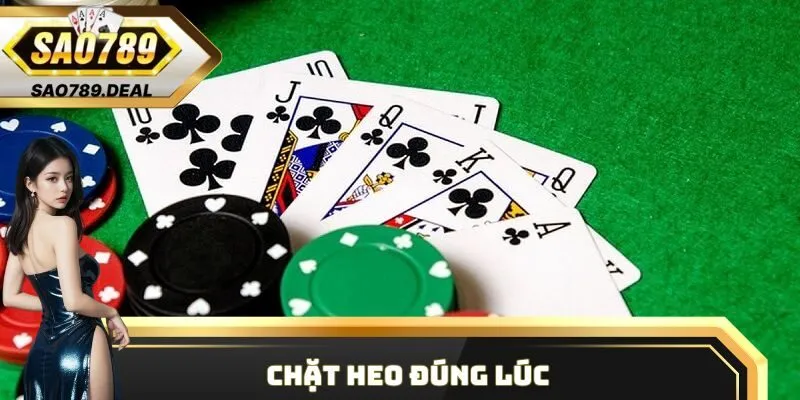 Chặt heo đúng lúc